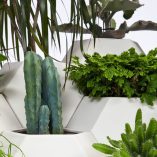 tiestos-ceramica-pott-coolmaison