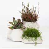 tiestos de cerámica ma-ce-ta