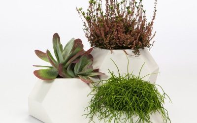 Arte, Artesanía y Diseño