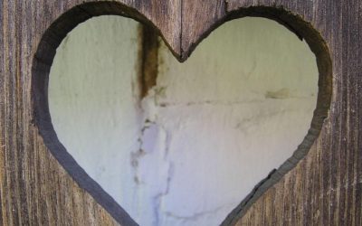 Beneficios de la madera