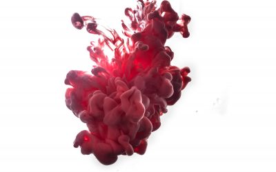 Otras formas de culturizarse con el vino