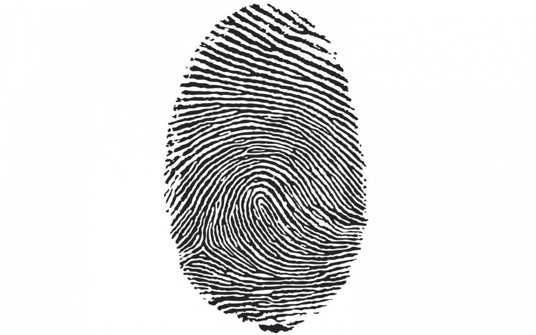 La historia de los apellidos