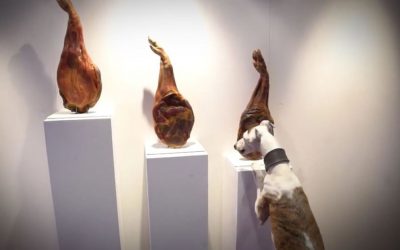 Arte Contemporáneo para perros