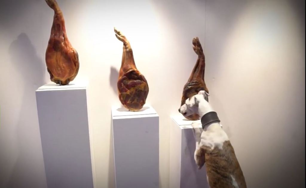 Arte Contemporáneo para perros