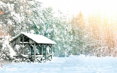 Prepara tus viajes fotográficos