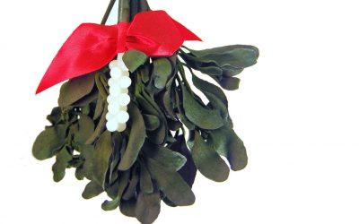 Besar bajo el muérdago