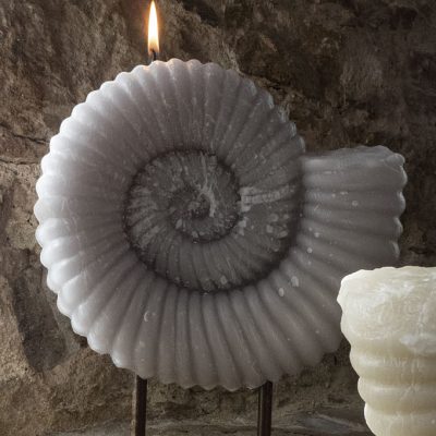 Vela con forma de concha Vela artesanal con forma de concha